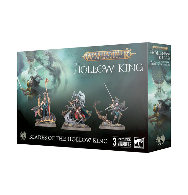 Hollow King: Blades of the Hollow King